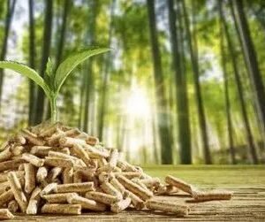 Wood Pellet