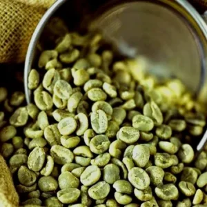 Robusta Green Beans