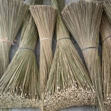 Palm Broomsticks